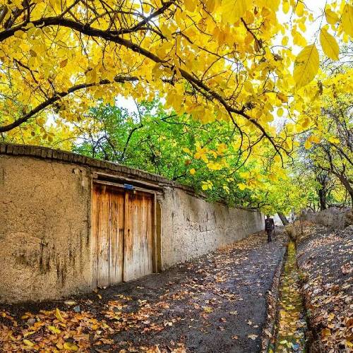 سایا من باهات قهرم